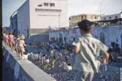 ���� ������ ��� ��� ����