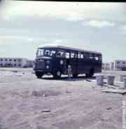 ���� ������ ��� ��� ����