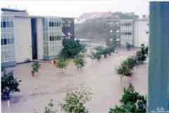 ���� ������ ��� ��� ����