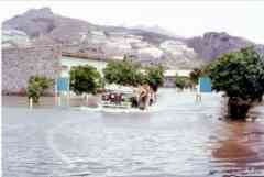 ���� ������ ��� ��� ����