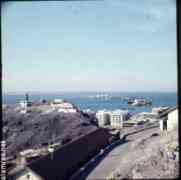 ���� ������ ��� ��� ����