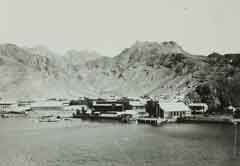 ���� ������ ��� ��� ����