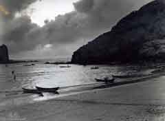 ���� ������ ��� ��� ����