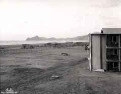 ���� ������ ��� ��� ����