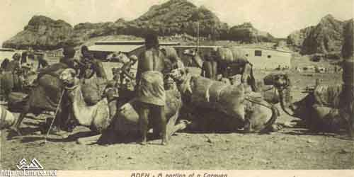 ���� ������ ��� ��� ����