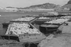 ���� ������ ��� ��� ����