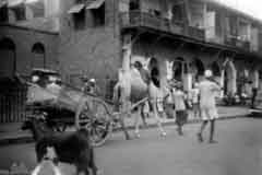 ���� ������ ��� ��� ����