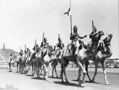 ���� ������ ��� ��� ����