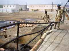 انقر للحصول على حجم اكبر