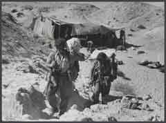 انقر للحصول على حجم اكبر