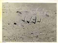 انقر للحصول على حجم اكبر