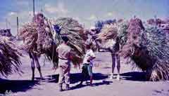 انقر للحصول على حجم اكبر