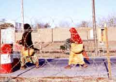 انقر للحصول على حجم اكبر