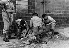 انقر للحصول على حجم اكبر