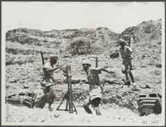 انقر للحصول على حجم اكبر