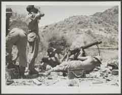 انقر للحصول على حجم اكبر