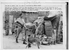 انقر للحصول على حجم اكبر