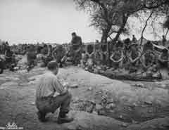 انقر للحصول على حجم اكبر