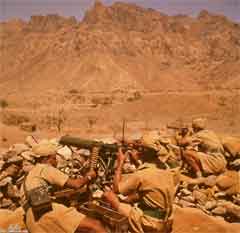 انقر للحصول على حجم اكبر