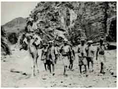 انقر للحصول على حجم اكبر