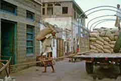 ���� ������ ��� ��� ����