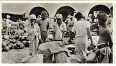 ���� ������ ��� ��� ����