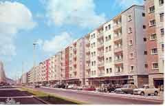 ���� ������ ��� ��� ����