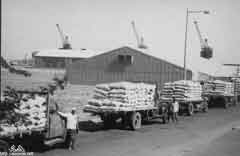 ���� ������ ��� ��� ����