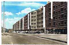 ���� ������ ��� ��� ����