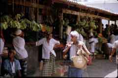 ���� ������ ��� ��� ����