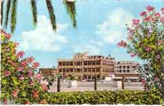 ���� ������ ��� ��� ����