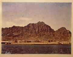 ���� ������ ��� ��� ����