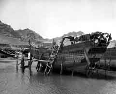 ���� ������ ��� ��� ����