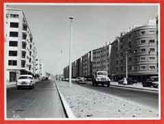 ���� ������ ��� ��� ����