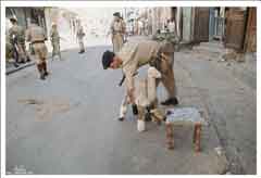 ���� ������ ��� ��� ����