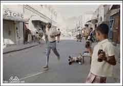 ���� ������ ��� ��� ����