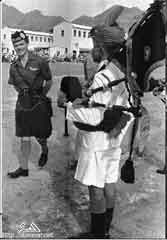 ���� ������ ��� ��� ����