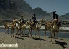 ����� �� ������ �� ������ ��� ��� ��� ����� ������� �� ����� ��������� �� ������� �� ��� ��� 70 ����