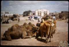 ��� ��� ��� ��� ������ �� ��������