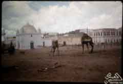 ���� ������ �� ����� ����� ��� 80 ����