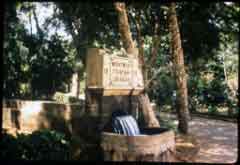 ���� �������� �� ���������