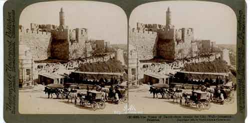 ���� ������ ��� ��� ����