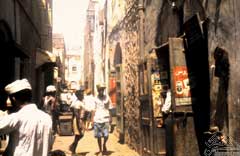 ��� ������ ����� �� ��������