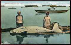 انقر للحصول على حجم اكبر