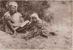 ���� ������ ��� ��� ����