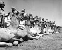 ���� ������ ��� ��� ����