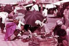 ���� ������ ��� ��� ����