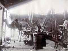 ���� ������ ��� ��� ����