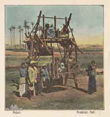 ���� ������ ��� ��� ����