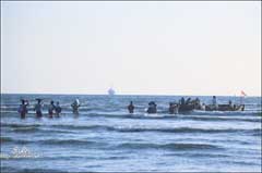 ���� ������ ��� ��� ����